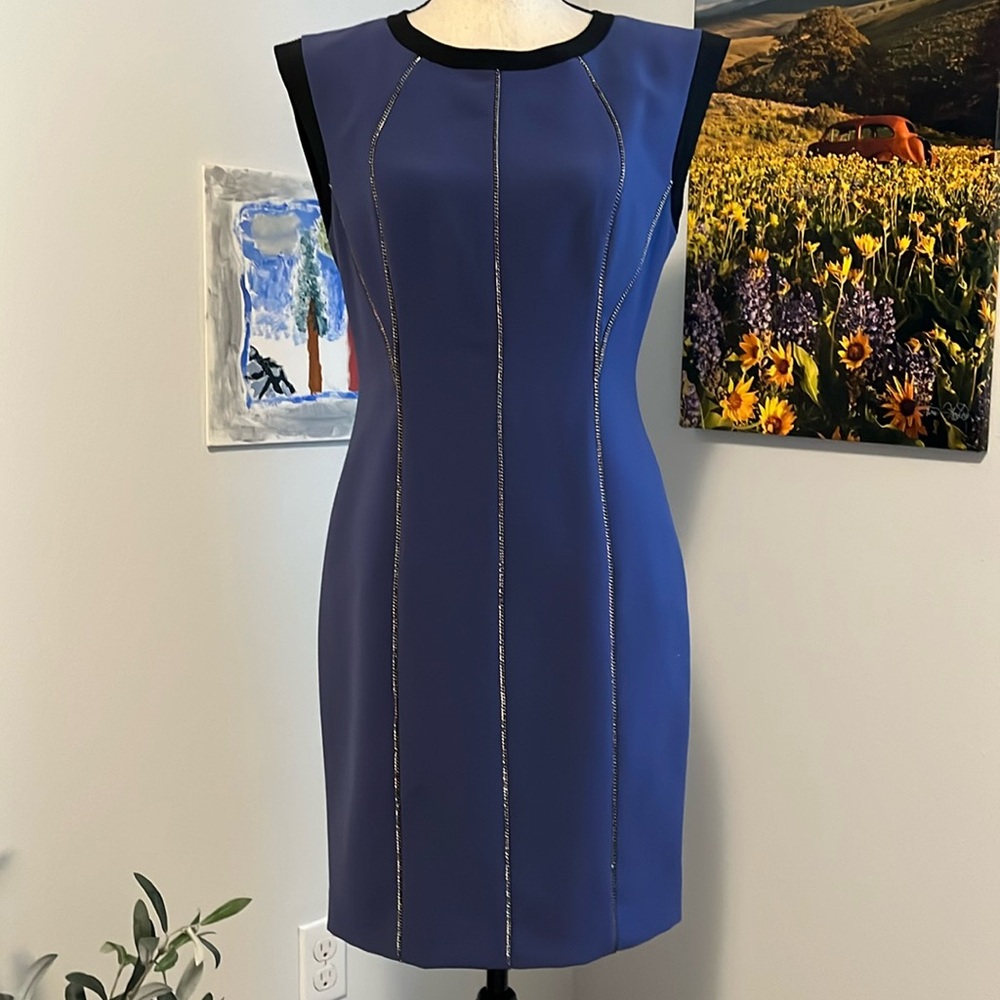 NWT Rebecca Taylor Fitted Dress